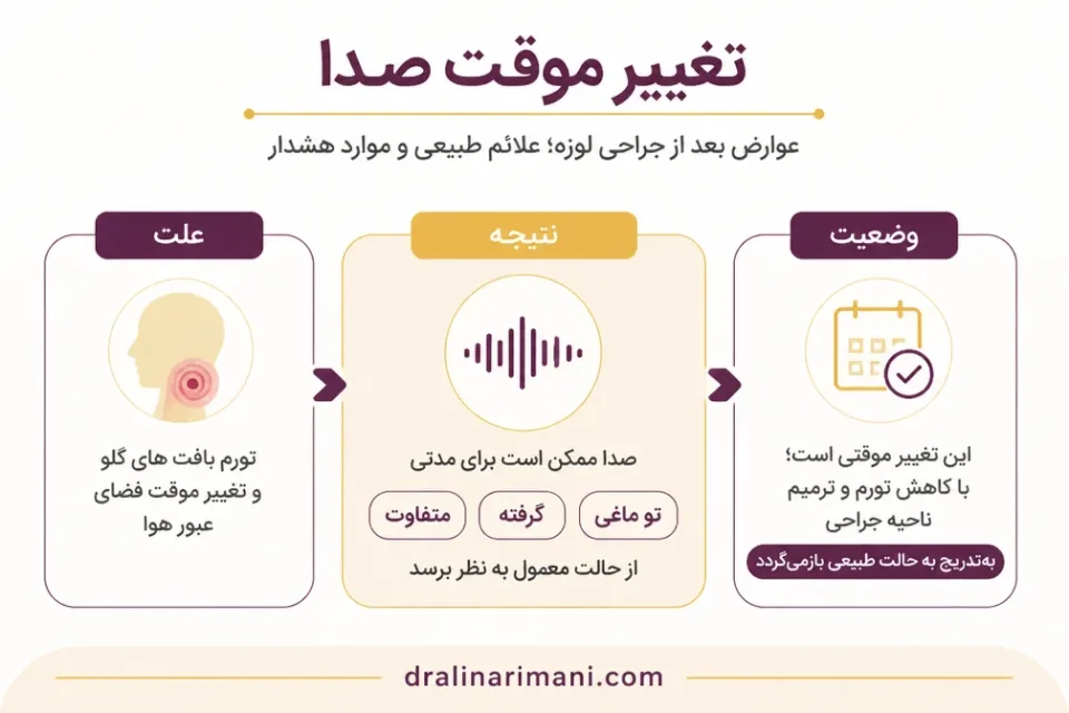 نمای توضیحی درباره تغییر موقت صدا